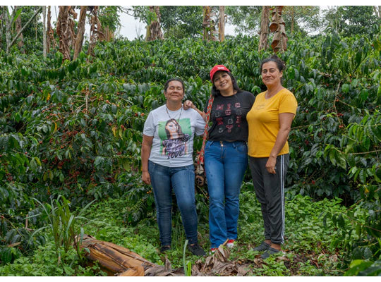 Celebrating the Extraordinary Women Producers of AMACA