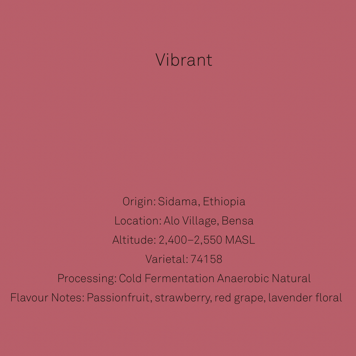Homebody Union Alo Village 74158 Ethiopia Cold Fermentation Anaerobic Natural coffee beans 200g