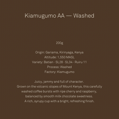 [Vibrant] Kiamugumo AA - Kenya - Washed 200g